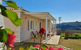 Vasilopoulos Estate